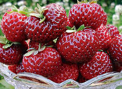 Середні сорти полуниці