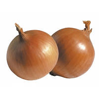 Насіння цибулі ріпчастої KS 725 F1(Kitano) 1000c