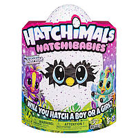 Хетчималс Хетчибейбіз Понет/Hatchimals HatchiBabies Ponette Hatching Egg