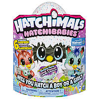 Хетчималс Хетчибейбіз ЛісоСів/Hatchimals HatchiBabies FoxFin Hatching Egg