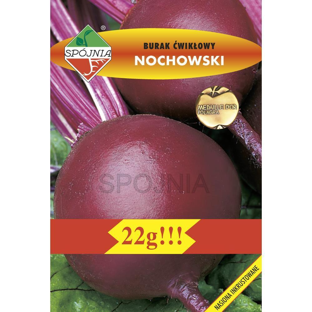 Насіння буряка Ноховський 22г ТМ ROLTICO