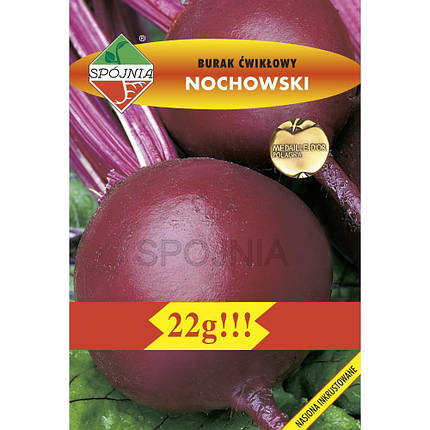 Насіння буряка Ноховський 22г ТМ ROLTICO, фото 2