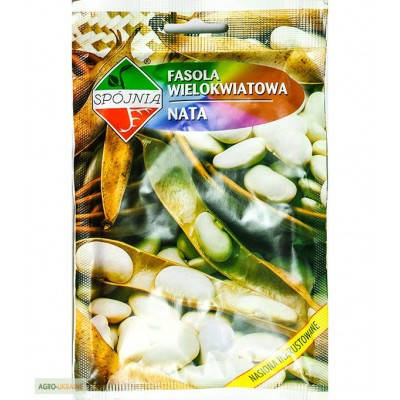 Насіння квасолі на сухе зерно Ната 55г ТМ ROLTICO, фото 2