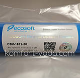 Мембрана Ecosoft 50 GPD, фото 2