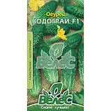 Насіння Огiрка Роднічок F1 (0.5г), For Hobby, TM GL Seeds, фото 3