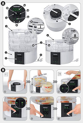 Сушарка для овочів грибів ZELMER ZFD2350W 520W, фото 3