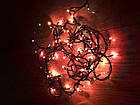 Світлодіодна новорічна гірлянда 3 м, 100LED різнобарвна, чорний дріт, фото 4