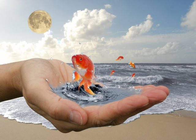 Працює Фен-шуй?