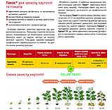 Фунгіцид Танос 2кг, фото 6
