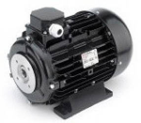 Електродвигун Nicolini 5,5 кВт (повний вал)