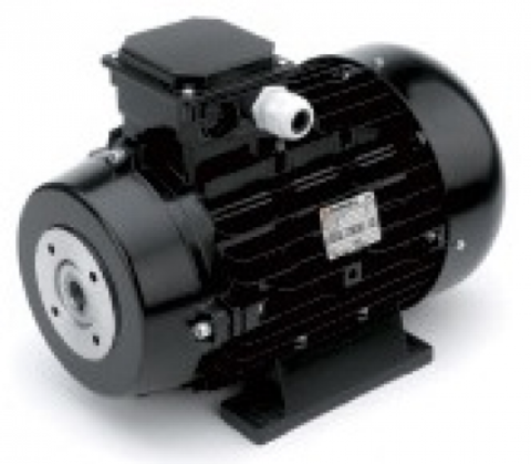 Электродвигатель Nicolini 2,2 кВт (стандартный вал) - фото 4 - id-p44196315