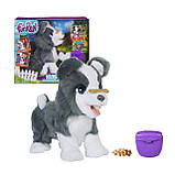 Інтерактивна іграшка FurReal Friends Цуценя Рікі / Hasbro FurReal Friends Ricky, the Trick-Lovin' Pup, фото 3