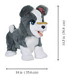 Інтерактивна іграшка FurReal Friends Цуценя Рікі / Hasbro FurReal Friends Ricky, the Trick-Lovin' Pup, фото 8