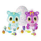 Хетчималс Хетчибейбіз Chipadee/Hatchimals HatchiBabies Chipadee Hatching Egg, фото 5