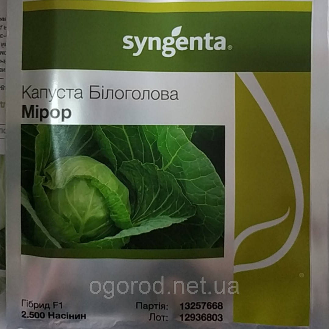 Міррор F1 2500 шт. насіння капусти Syngenta Голландія
