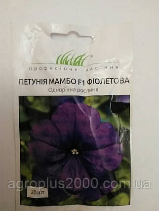 Насіння Петунія багатобарвкова Мамбо F1 Фіолетове 20 насіння Hem Genetics, фото 1