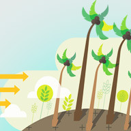 Вітрова стійкість Вітрова стійкість