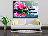 Картина на полотні "Рожеві квітки орхідеї та каміння з відображенням у воді"