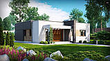 ZX105-проєкт одноповерхового сучасного дому, фото 2