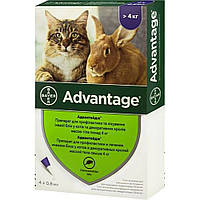 Адвантейдж 80 Advantage для кошек и декоративных кроликов весом свыше 4 кг капли на холку от блох, 1 пипетка
