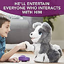 Інтерактивне щеня Ріккі від Hasbro FurReal. Навчіть його трюкам!, фото 4