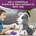 Інтерактивне щеня Ріккі від Hasbro FurReal. Навчіть його трюкам!, фото 5