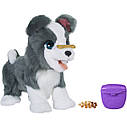 Інтерактивне щеня Ріккі від Hasbro FurReal. Навчіть його трюкам!, фото 7