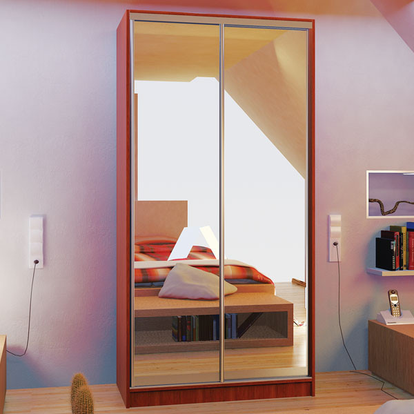 Шафа Купе дводверна з дзеркалами 120х240х60 (6 варіантів кольорів)