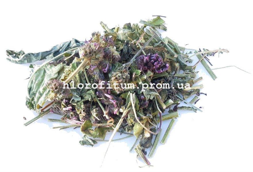 Буквиця лікарська, трава 50 грамів — (Betonica officinalis)