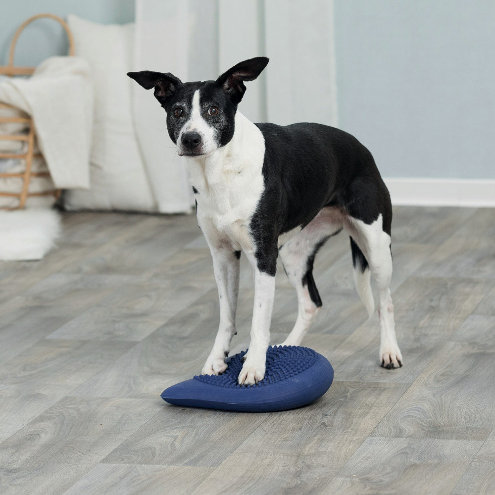 Trixie ТХ-32093 іграшка тренажер для собак Dog Activity Balance балансувальна подушка