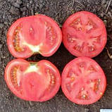 Насіння томату Джем F1 (100 нас.) Ergon, фото 2