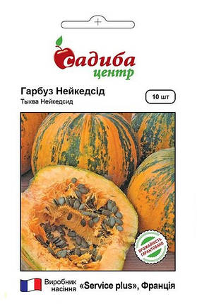 Насіння гарбуза голонасінний Нейкедсид 10 шт, Service plus, фото 1