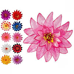 Крокус потрійний атлас, 15см (50 шт в уп)