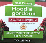 Hoodia Gordonii - Порошок для схуднення (Худія Гордони), фото 4