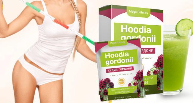 Hoodia Gordonii - Порошок для похудения (Худия Гордони), greenpharm - фото 6 - id-p849233051