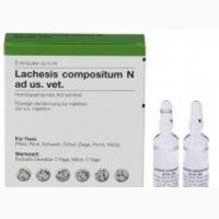 Lachesis compositum (Лахезис композитум) ветеринарный 5 мл №5, Heel - фото 1 - id-p849239376