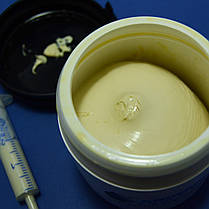 Мастило Hydra-2 MEYERLUB (ANDEROL) для сальників пральних машин C00292523, фото 4