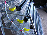 Годівниці пластикові для бройлерів, фото 7
