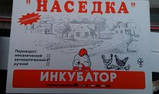 Інкубатор Насідка з автоматичним переворотом на 70 яєць, фото 2