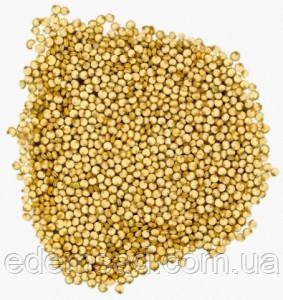 Купить Киноа белая, 300г, цена 59.50 ₴ — Prom.ua (ID#851232611)