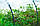 Парник "Щедрий урожай" 3 м. щільність 60 г/м2 (міні теплиця), фото 4