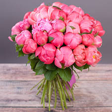 Півонія Coral Charm (Корал Чарм) кореневище, фото 2