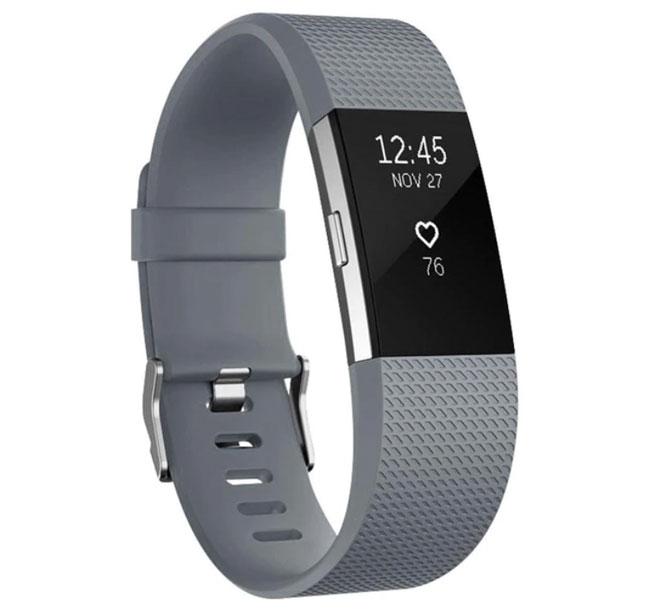 Силіконовий ремінець для фітнес браслета Fitbit Charge 2 - Grey L