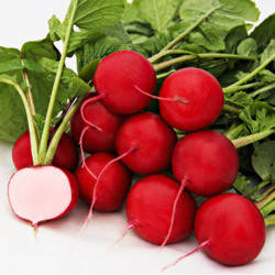 СОРА/SORA насіння редиски, 250 г — рання, всесезонна, фото 1