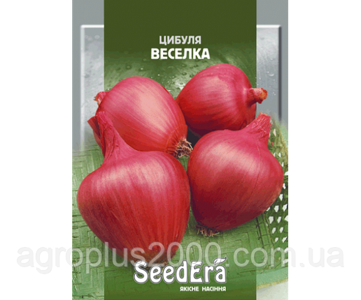 Насіння Лук ріпчастий червоний Веселка 20 грамів SeedEra, фото 1