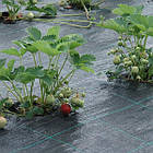 Агроткань 1,6*100м 90 гр/м2 , чорна , Bradas, фото 4