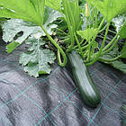 Агротканина 1,6*100м 70 гр/м2 PP, чорна UV,  AT7016100, фото 6