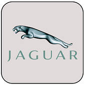 Захист двигуна Jaguar