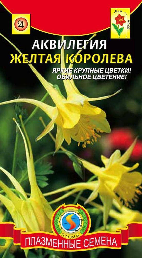 

Аквилегия Жёлтая королева 0,05 г (Плазменные семена), Желтый