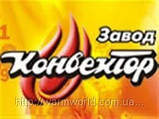 Настінний газовий конвектор АКОГ 3-СП Ужгород SIT, фото 2